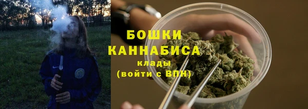 дживик Пересвет