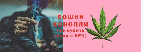 дживик Пересвет
