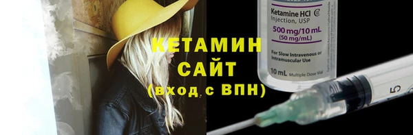 индика Пестово