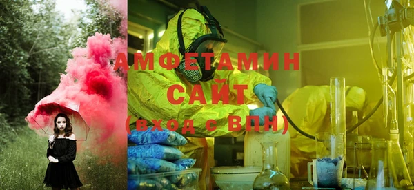 индика Пестово