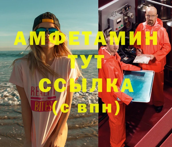 индика Пестово