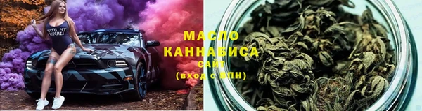 индика Пестово