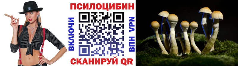 МЕГА сайт Аксай Галлюциногенные грибы мухоморы где найти