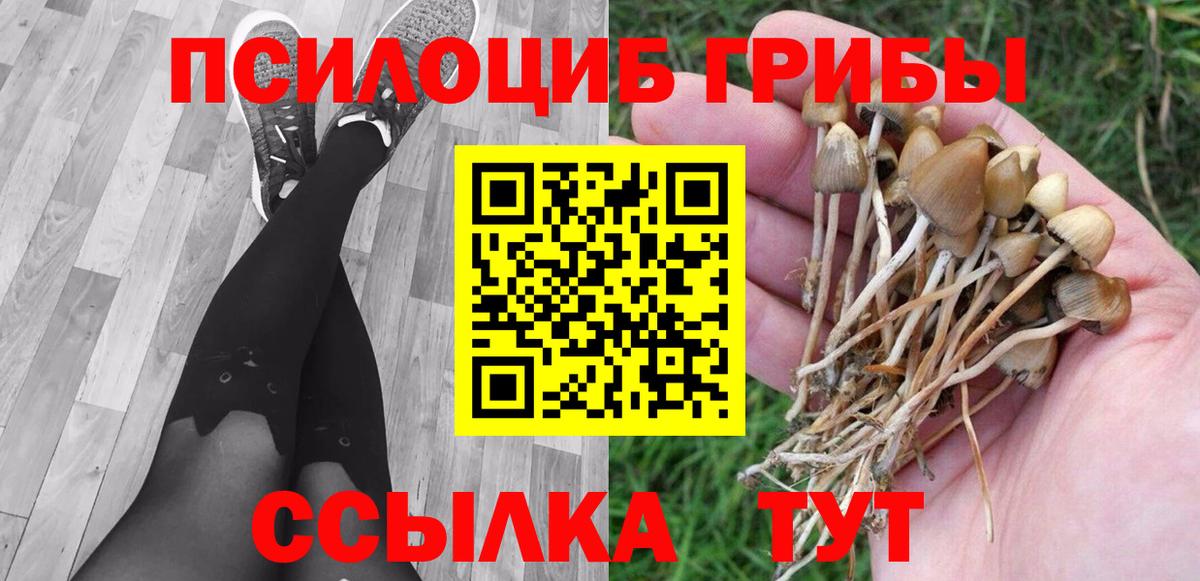 Псилоцибиновые грибы Psilocybe  Галлюциногенные грибы Cubensis  Аксай  Вход с VPN 