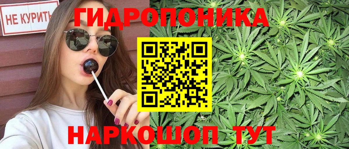 Конопля White Widow  Бошки Шишки конопля  Вход с VPN  Аксай 